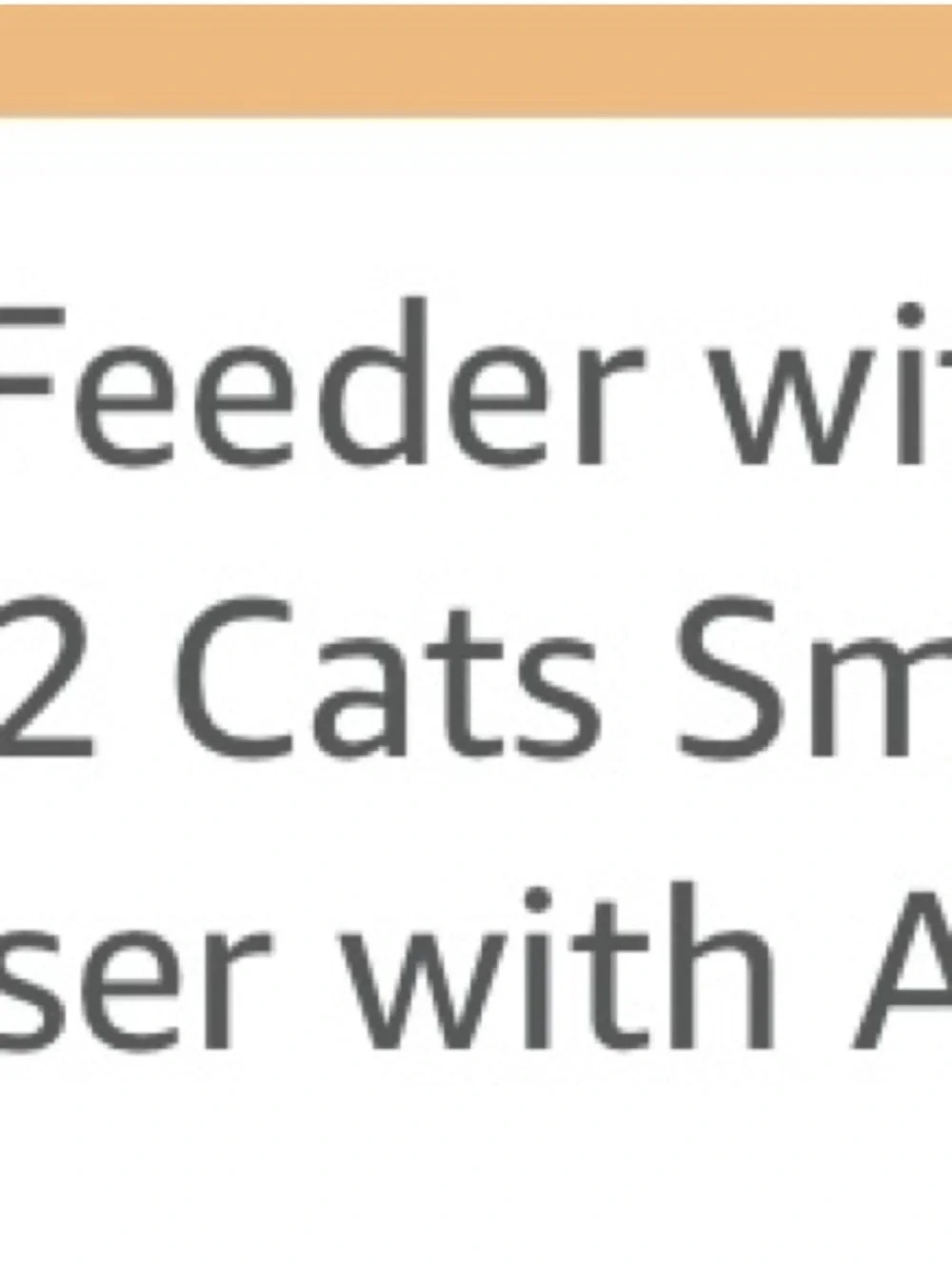 Smart Automatic Cat Feeder - Black